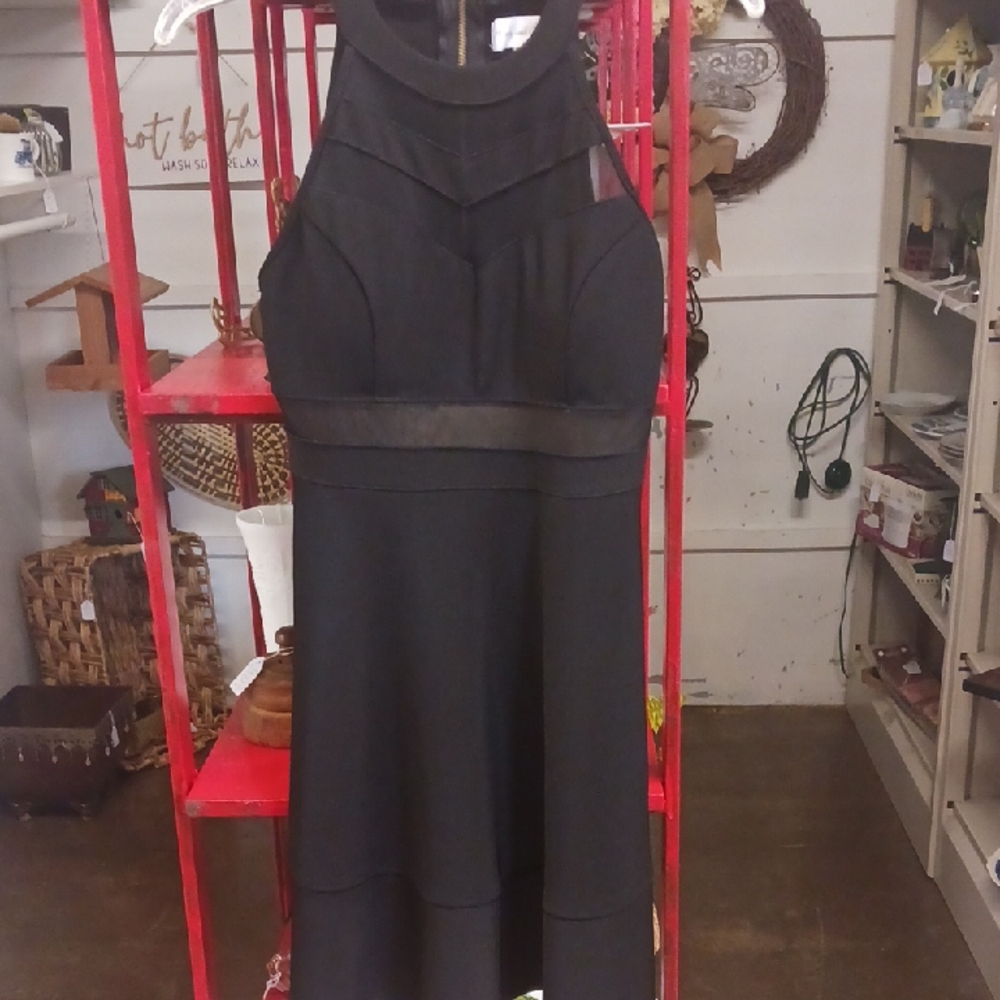 Elegant Black Sleeveless Dress